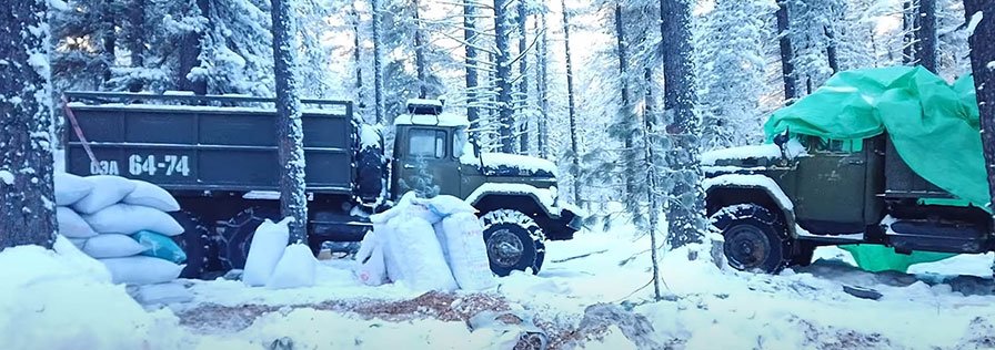 “Тэрбум мод” тэнд үхэж байна